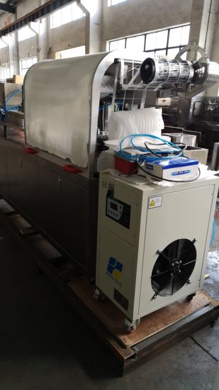 Dpp-250 Fabricación Embalaje farmacéutico Empaquetado / Empaquetado Máquina de maquinaria automática de blíster