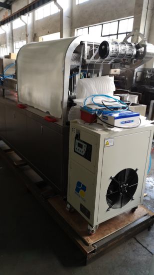Máquina empacadora de blíster con servomotor de fabricación farmacéutica de línea de montaje de tabletas / cápsulas / píldoras