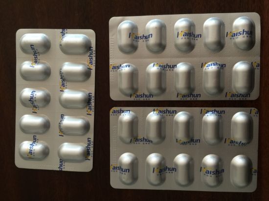 Equipo farmacéutico de la empaquetadora de la ampolla de la empaquetadora de las píldoras grandes Dpp250